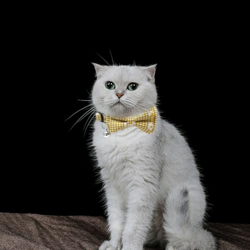 Collar de gato para gatitos pequeños con broche anticaídas 7