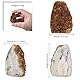 dssmboom Natürlicher Rohcitrin Kristallcluster Mineralexemplar für Meditation und Chakra-Ausgleich, Dekorativer Feng Shui Stein Citrin Geode Cluster für Reichtum, 15g-50g