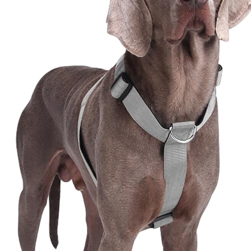 Pettorina Cane Taglia Grande Media Piccola, Pettorina Antifuga Regolabile con Ganci in Metallo, Pettorine Morbido Confortevole Imbottito Petto per Addestrare Le Passeggiate (Grigio, L)