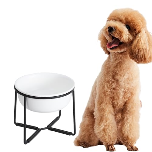 Comedero Perro Elevado de Cerámica - Cuenco Perro con Soporte de Metal Antideslizante - Comedero Alto para Perro - Plato Perro Comida y Agua - Bol para Perros Pequeños y Medianos - 800 ml - Blanca