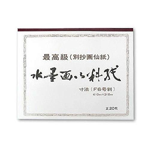 水墨画練習紙 大 F6号判 20枚綴の商品画像（Amazon）