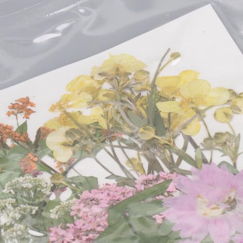110 piezas flores prensadas secas para manualidades miniatura 5