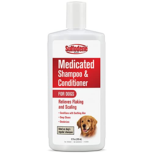 Best medicated shampoo for dog for 2022 Aalsum Reviews