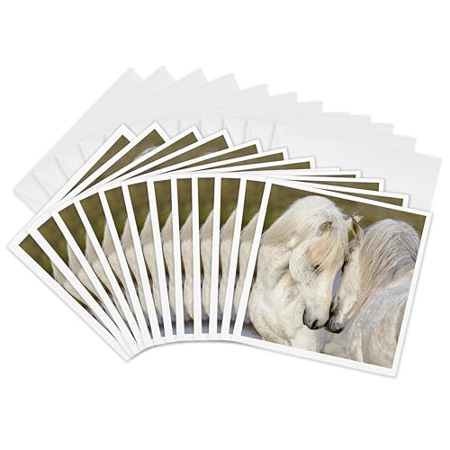 Cartes de vœux Camargue pour sublimer vos correspondances et invitations de fin d'année