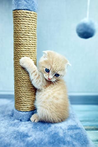 Cuerda de Sisal Natural para Rascador de Gatos 1/2" x 100ft miniatura 3