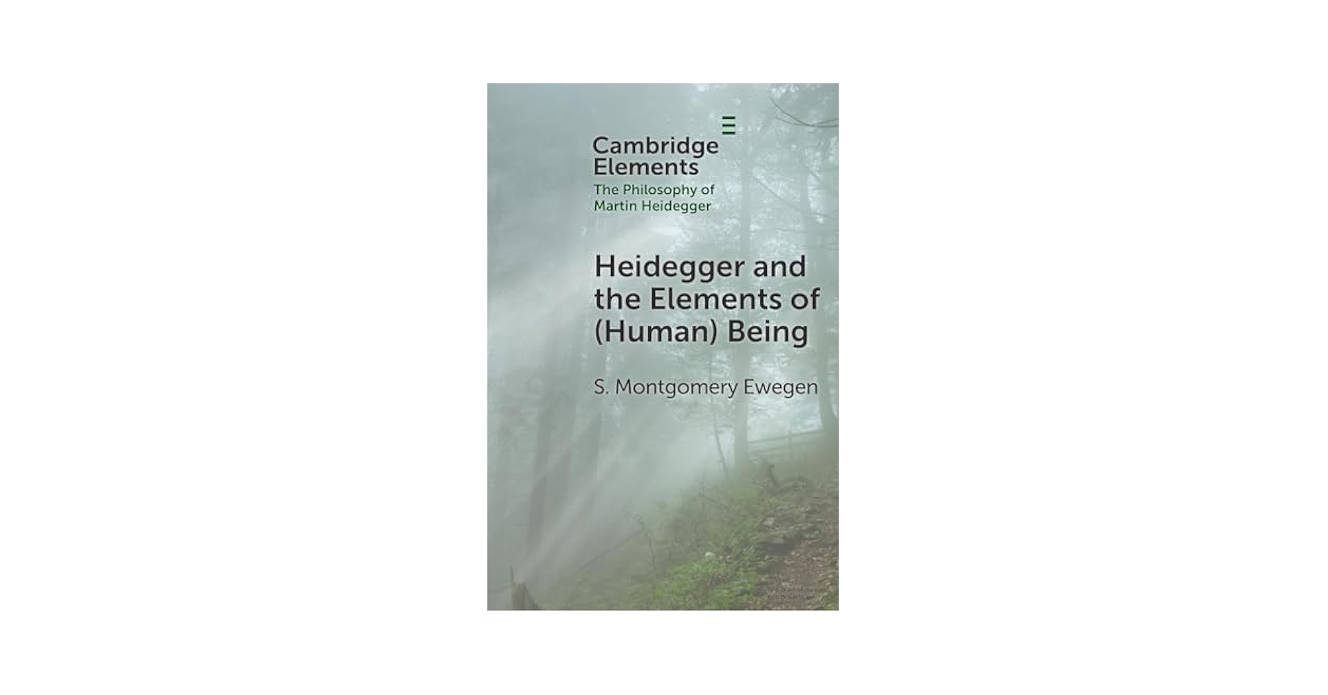 Heidegger and the Elements of (Human) Being (Elements in the