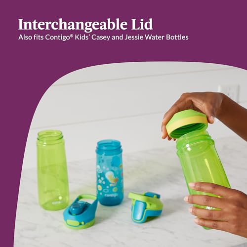 Contigo Micah Water Bottle, 20 oz, Grape/Amethyst