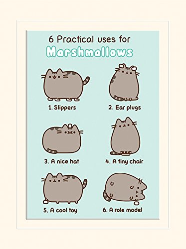 Pyramid International Pusheen Practical Uses For Marshmallows Mounted Print Memorabilia, Multi-Colour, 30 x 40 x 1.3 cm