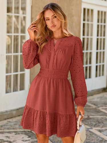 Simplee Womens Eyelet Long Sleeve Mini Dress 2025 Fall Boho Embroidery V Neck A Line Casual Short Party Dresses2