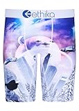 Ethika Men's Staple Boxer Brief, 4-Way Stretch with Signature Waistband, No Ride-Up Comfort - Future Freeze(BWH,L)
