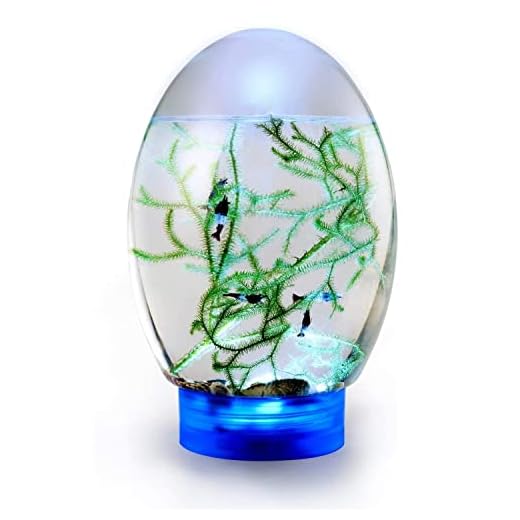 YYDX Ecosphere Desktop Fish Tank Closed Spherical Fish Tank Aquatic Ecosystem, with LED Lighting,Blue