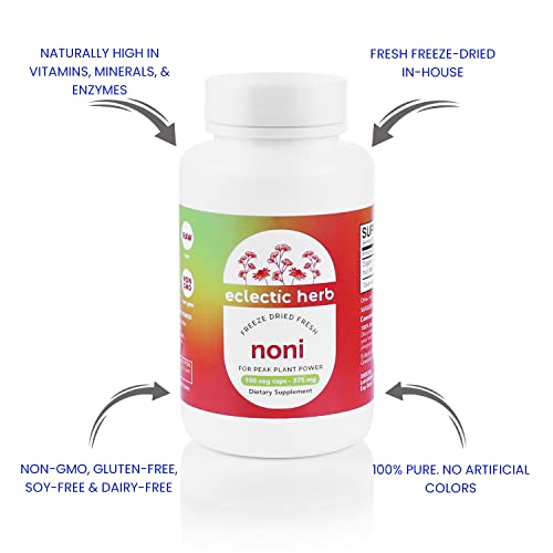 Eclectic Institute Raw Fresh Freeze-Dried Non-Gmo Noni | Antioxidant Blood Lipid Support | 100 Ct (375 Mg) #TOP3