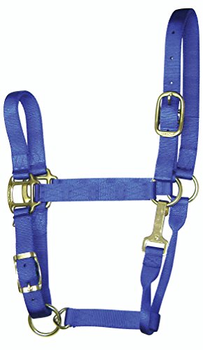 Hamilton Cabresto ajustável de nylon de 2,5 cm com fecho de queixo para cavalo de 800 a 500 kg, médi
