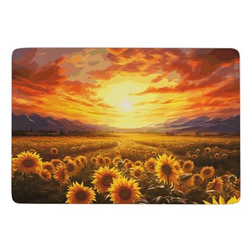 Tapis antidérapant grand tapis velours corail contre sol glissant