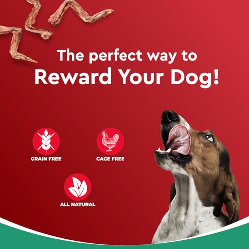 Image of Drools Puppy & Adult Dog Treats Dehydrated Chews Wings, 70g| Real Chicken Flavour | Vital Nutrients | Digestive Health | Protein-Packed | Tasty & Nutritious