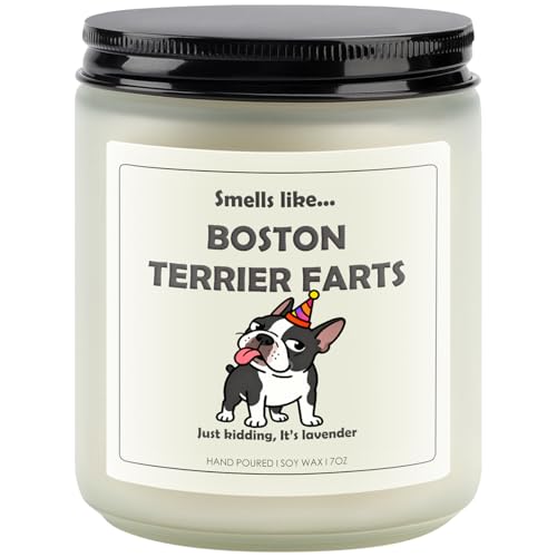 Boston Terrier Gifts & Decor Boston Terrier Gifts for Women Dog Farts Candle | Lavender Scent Handcrafted with Natural Soy Wax