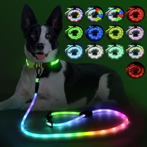 YFbrite wasserdichte Hundeleine mit Beleuchtung und 15 Blinkmodi – Superhelle LED-Hundeleine für kleine, mittelgroße und große Hunde – Wiederaufladbare Hundeleinen Typ C mit Licht (6ft(180cm))