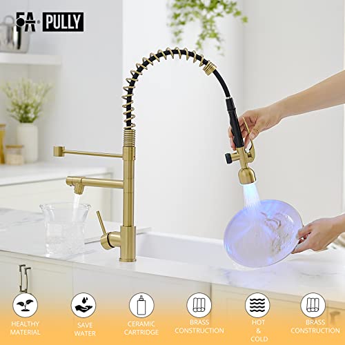 Fapully Single Handle High Arc Brushed Gold Pull Down Kitchen Faucet Led,Single Level Kitchen Sink Faucets With Pull Down Sprayer #TOP2