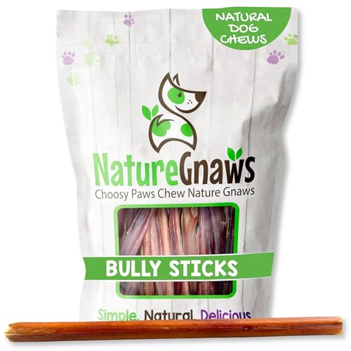 Image of Nature Gnaws Large Bully Sticks for Dogs 11-12 inch (10 Count) - Thick Long Lasting for Aggressive Chewers and Large Dogs - Natural Beef Dog Chew Bones