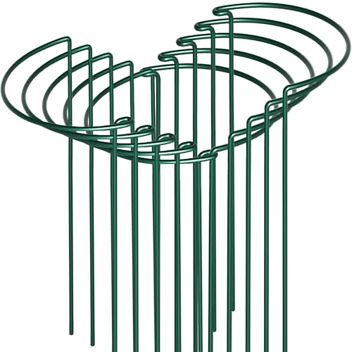 10 Pack Peony Cages and Supports, 10" x 24" Plant Support