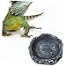 Yardwe 2pcs Reptile Feeder Bowls Durable Small Water and Food Dishes for Turtles Lizards and Snakes Stable Base for Indoor Outdoor Use Easy to Clean and Design