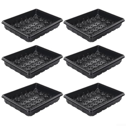 Châssis de croissance pour plantes succulentes en plastique compact - 5