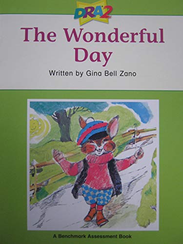 The Wonderful Day (A Benchmark Assessment Book Level24)