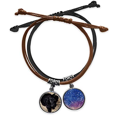 Pulsera de perro animal negro un símbolo de fidelidad para los amantes de la noche