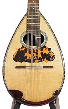 【カメ】エレキマンドリン ローズウッド指板（ソリッドボディ） トップ品質8弦エレキマンドリンスタイルローズウッド指板弦楽器