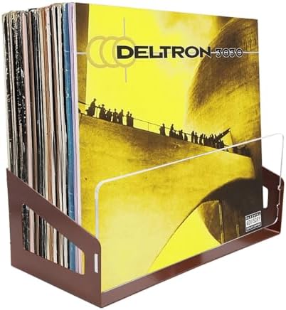 Amazon.com: VINTORA Wooden Vinyl Record Holder - Freestanding Vinyl ...