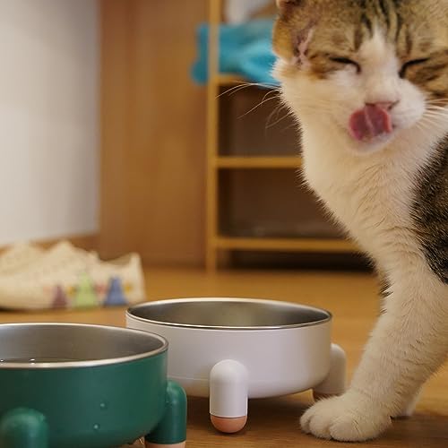 lukshunpet Non-Slip Stainless Steel Pet Bowls for Dogs & Cats | No Spill Easy to Clean | Durable & Removeable | Nordic Stylish Colors | Prevents Feline Acne (Pink)