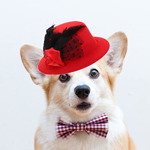 Sombrero Beavorty para perros tamaño pequeño miniatura 2