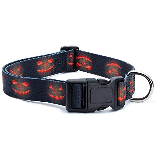 Halloween Dog Collar (Glowing Pumpkins, Large)