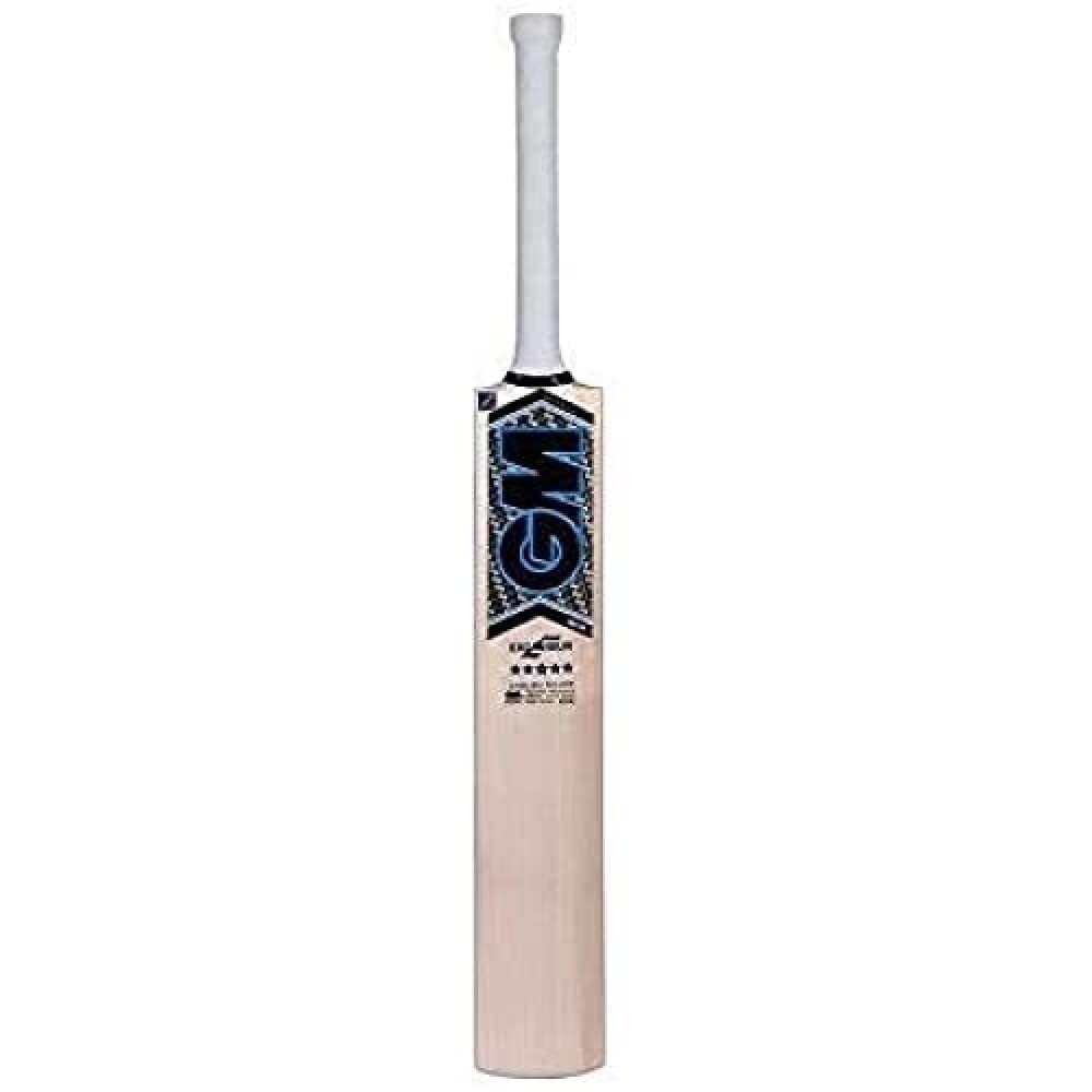 GM Neon Excalibur English Willow Cricket Bat Short Handle Mens (B071S1KS7Z) Amazon Price History, Amazon Price Tracker