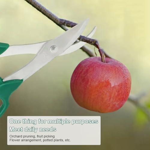 Image of HASTHIP 3Pcs Gardening Scissors Set -Stainless Steel Gardening Shears Compact Hand Pruner Floral Scissors Garden Snips, PP Anti-slip Handle Design, Utility Garden Scissor