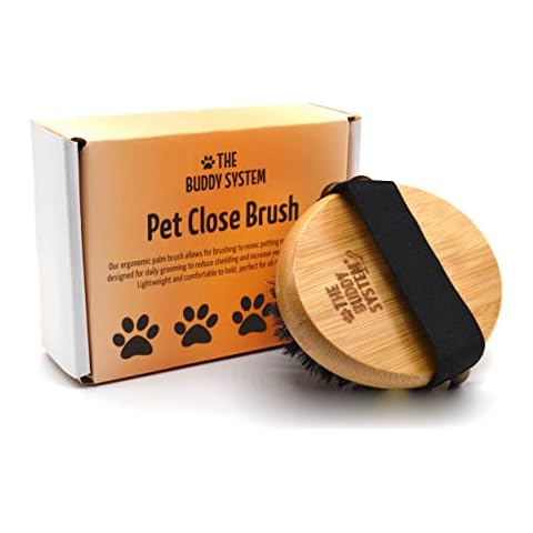The Buddy System Pet Close Brush, Soft Touch Oval Palm Brush - Bamboo Massage Handheld with Soft Boar Bristles and Elastic Band for Dogs and Cats Cover