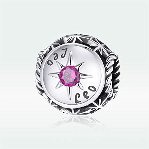 Image of 12 Constellation Charms 925 Sterling Silver Crystal Zircon Charms Family and Friends' Birthday Charm Birthstone Charms for Women Bracelets