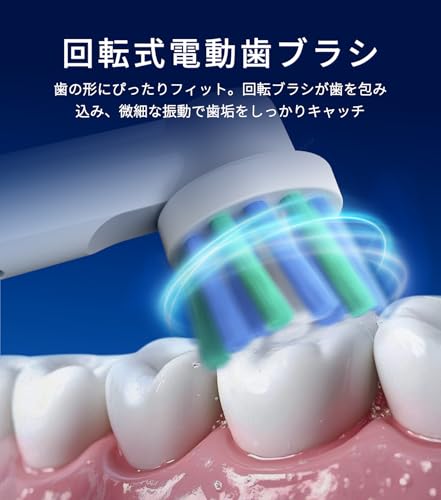エペイオス(Epeios) OKARE LOOP の商品画像 3