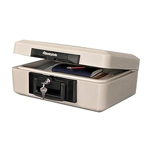 Sentry ポータブル耐火保管庫(30分耐火) A4サイズ収納可 1160 ダブグレー