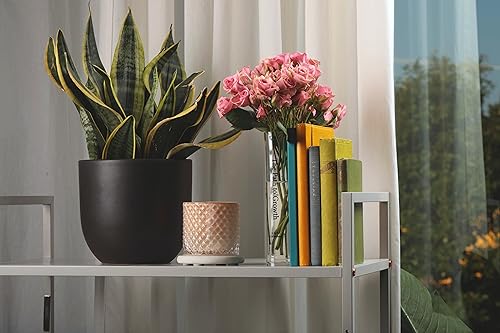 BT-Collection-Clear-Acrylic-Book-Vase-for-Flowers-wInspirational-Message–Modern-Room-Decor-Clean-Girl-Aesthetic-Vase–Book-Vase-for-Neutral-Decor–Cute-Housewarming-Gift BT Collection Clear Acrylic Book Vase for Flowers wInspirational Message–Modern Room Decor Clean Girl Aesthetic Vase–Book Vase for Neutral Decor–Cute Housewarming Gift