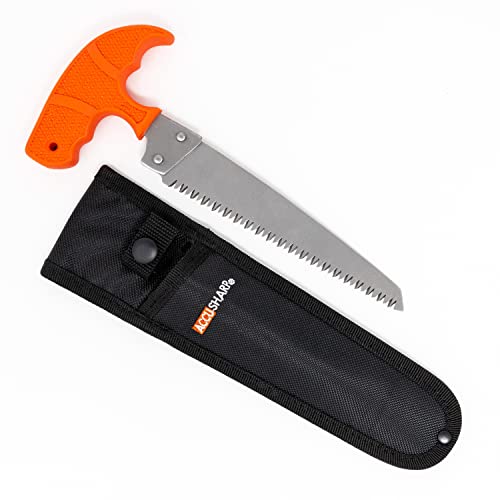 AccuSharp 6