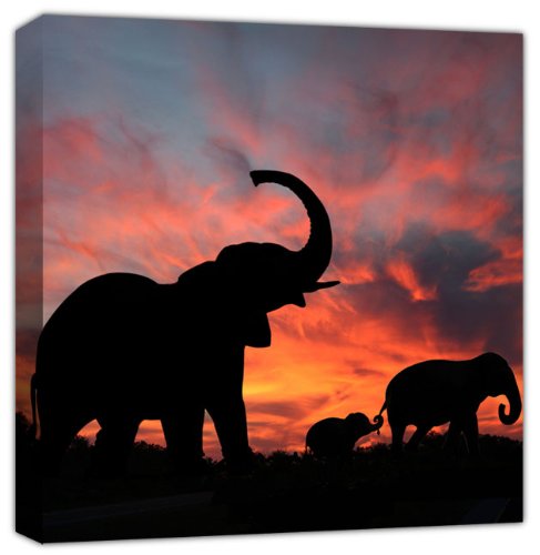 Elefantes disfrutando de una espectacular puesta de sol africana + panel individual cuadrado A1, tamaño 52 cm x 52 cm
