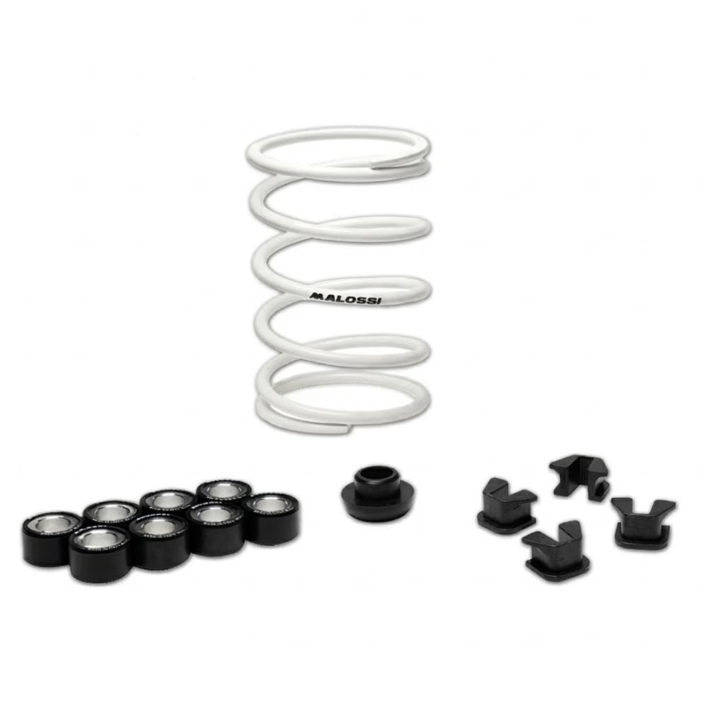 KIT VARIATORE M-ULTIVAR 2000 M A L O S S I PER Z O N T E S 350E-350D-368G-368E ie 4T LC euro 5+ 2025
