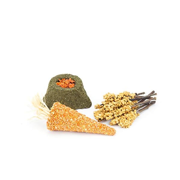 Mr. Crumble Dried Pet Food XXL Struktur-Futter-Set getreidefrei für Kaninchen, Meerschweinchen und andere Nager mit Futter und Leckerlies – Bild 6