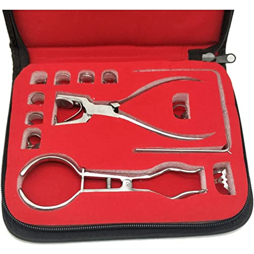 Dental Endodontic Rubber Dam Kit - Set completo di pratica con modello di denti per esami dentali e procedure