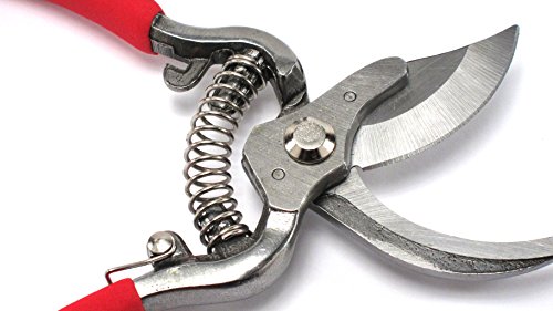 Elitexion Professional Heavy Duty Forged Bypass Pruning Shears, Garden Clippers, Hand Pruner Size 6 and 8 inches (Pack of 2)