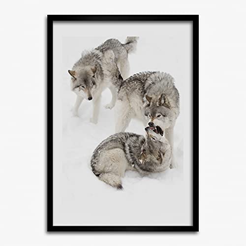 Tableau loups gris et cadre photo 50x70 cm Tulup pour habiller un grand mur vide avec élégance