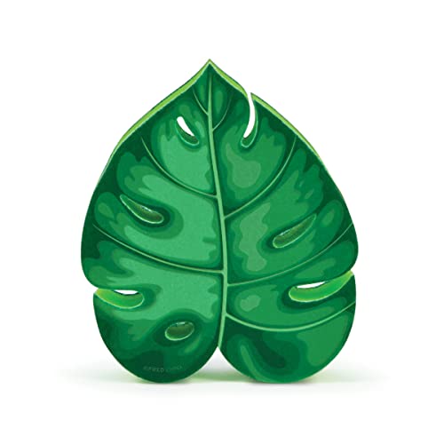 Genuine Fred, House Plant, Monstera Leaf Kitchen Sponge, Multicolor