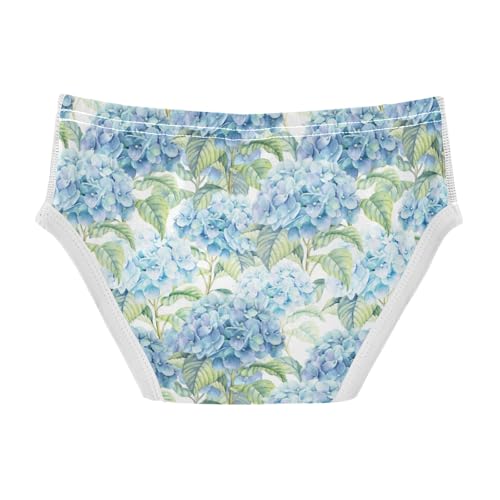 Boys' Exclusive Briefs Toddler Underwear 95% Combed Cotton Boxerbriefs 2T Hydrangea Pattern Flower 192