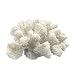 Redeco White Artificial Resin Rice Coral, Home Office Ornament, Aquarium Decoration, Ocean Sea Decor 5" x 5" x 3.5"